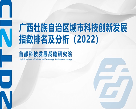 美女C逼【成果发布】广西壮族自治区城市科技创新发展指数排名及分析（2022）